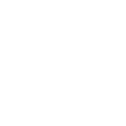 Die Pferdeprofis